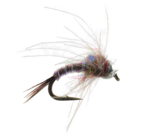 Rainbow Warrrior Beadhead CDC Soft Hackle
